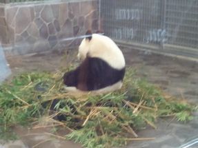 2012-04-29 12.43.26.jpg