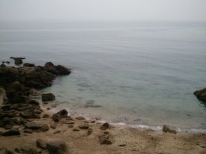 2014-01-30 15.14.34.jpg