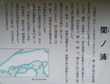 2014-02-11 15.43.57,.jpg
