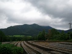 2012-07-16 09.55.24.jpg