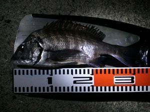 2013-11-16 17.49.48.jpg