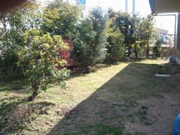 2012-04-01 15.00.19.jpg