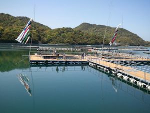 2013-04-28 13.32.24.jpg