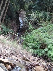 2012-04-22 滝.jpg