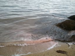 2012-07-01 13.49.46.jpg