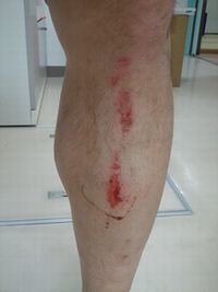 2013-06-07 19.50.16.jpg