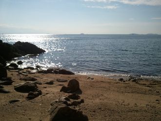 2013-11-14 14.01.38.jpg