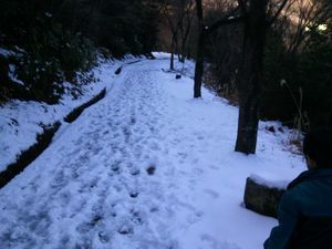 2014-02-09 15.26.11.jpg
