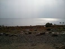 海岸.jpg