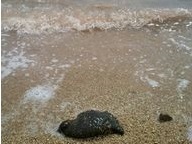 2012-07-01 14.13.27.jpg