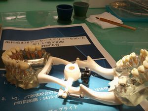 2013-04-21 14.45.07.jpg