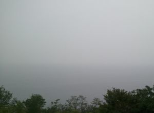 2013-11-03 16.39.51.jpg