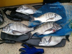2013-05-04 12.55.48..jpg