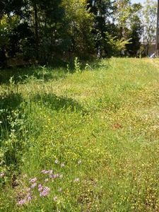 2013-05-12 10.19.50.jpg