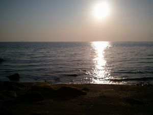 2014-03-15 17.18.41.jpg