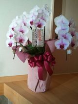 お花３.jpg