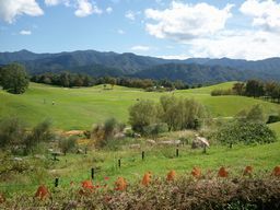 2011-09-11 13.27.51満濃公園１.jpg