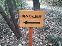 2012初日の出後の寄り道.jpg