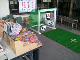2012-06-03 11.31.43.jpg