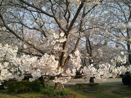 2012-04-08 16.44.49.jpg