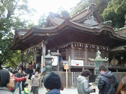2013-01-03 11.16.52.jpg