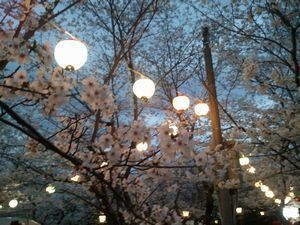 2013-03-31 18.36.47.jpg