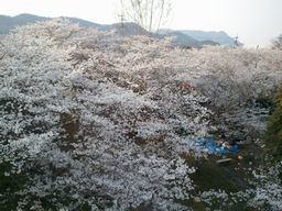 2012-04-08 16.50.25.jpg