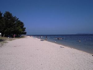 CIMG0385.jpg