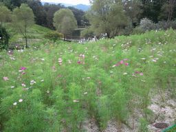2011-09-11 12.04.48満濃公園3.jpg