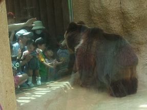 2012-04-29 13.00.34.jpg