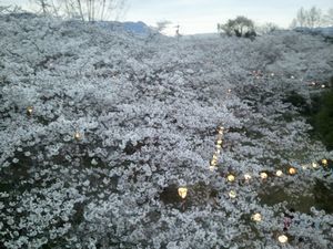 2013-03-31 18.25.20.jpg